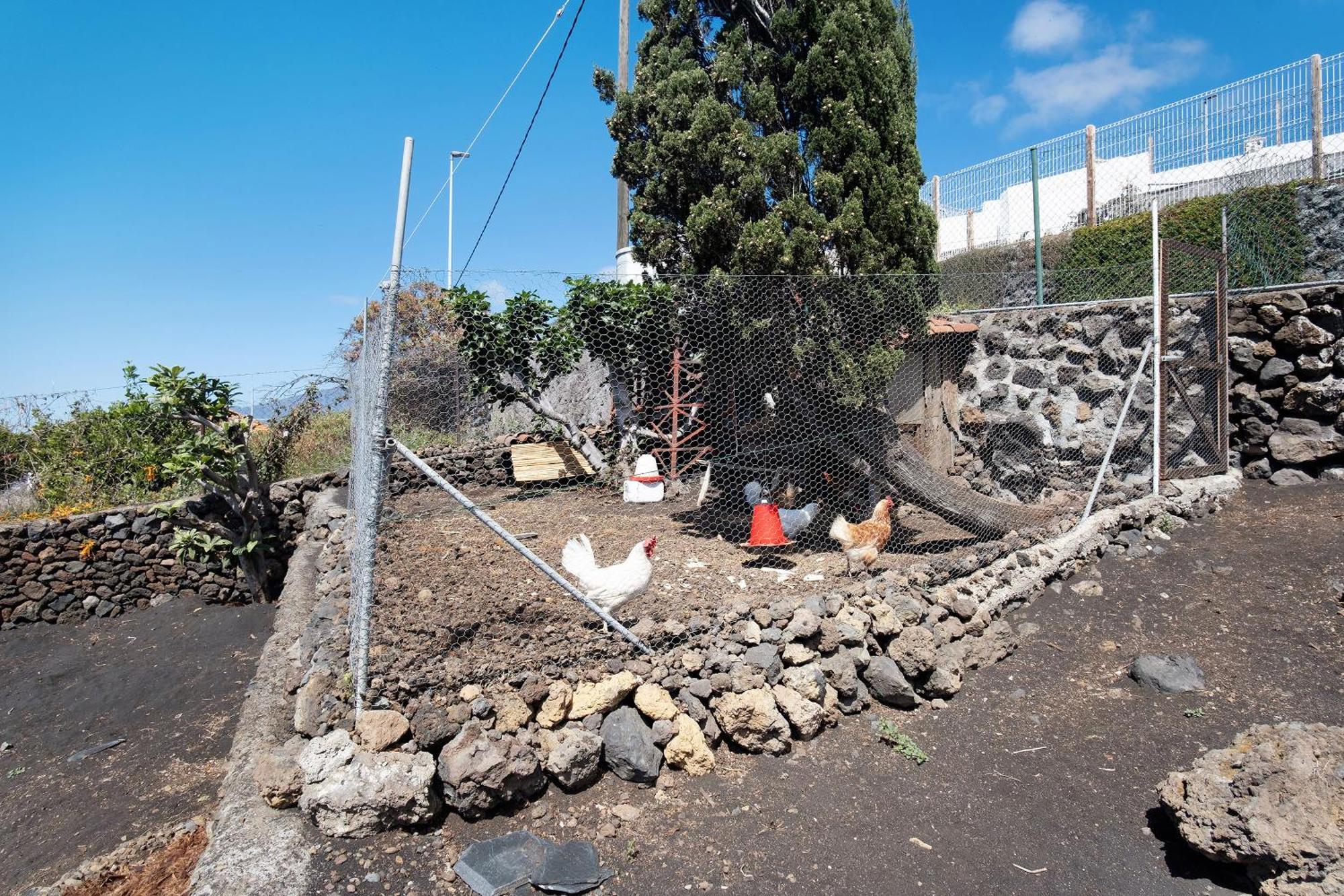 Casa La Podona- A Villa Jedey Luaran gambar