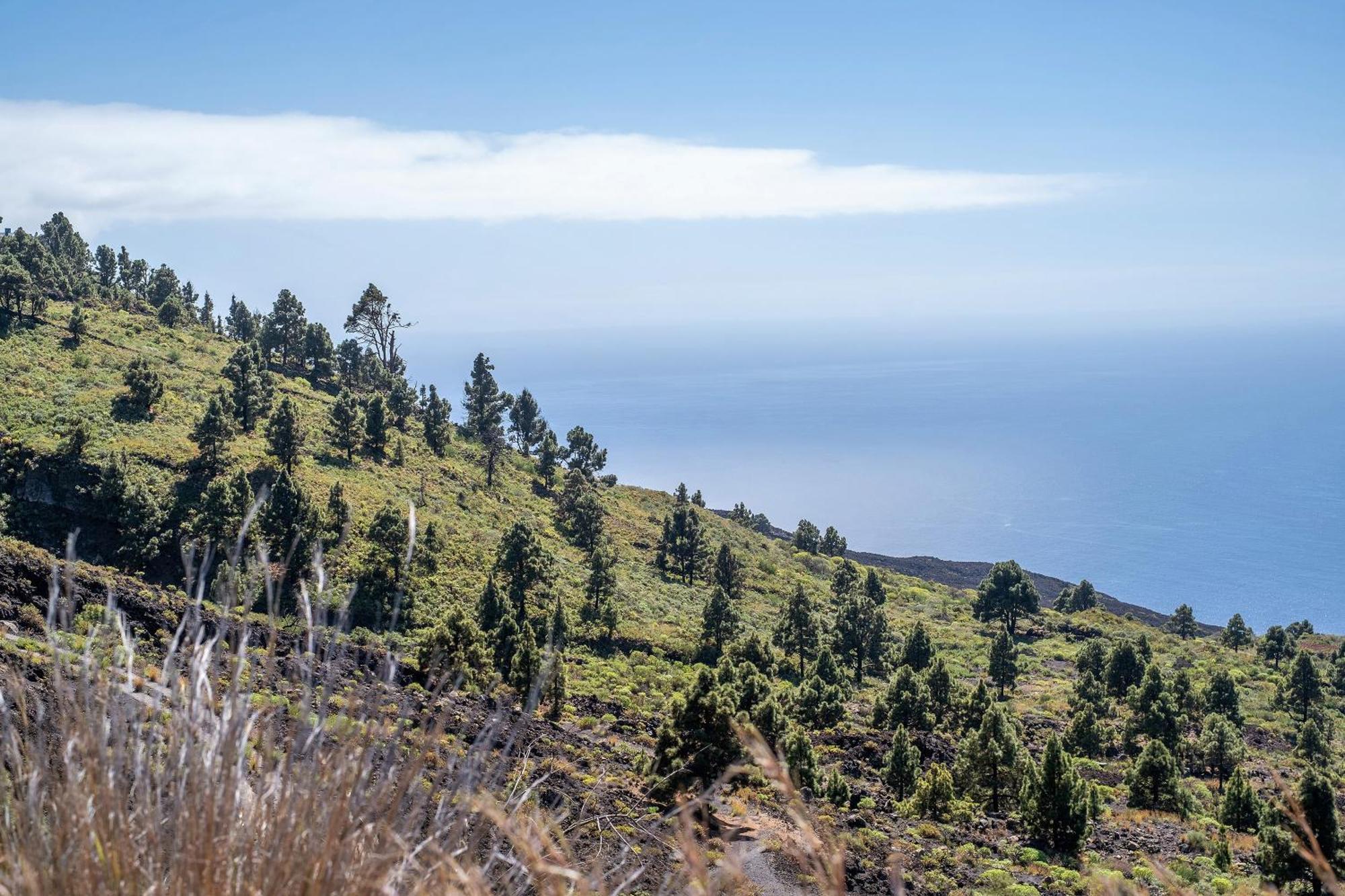 Casa La Podona- A Villa Jedey Luaran gambar